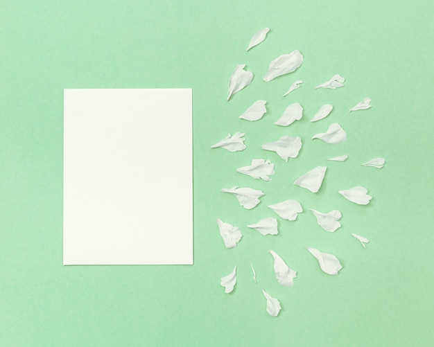 Petali bianchi di fiore di peonia e carta trasparente bianca su verde