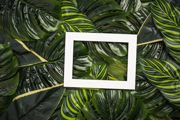 White photo frame over palm leaves design mock up