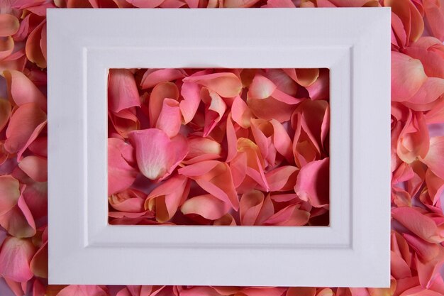 white photo frame on a pink rose petals background