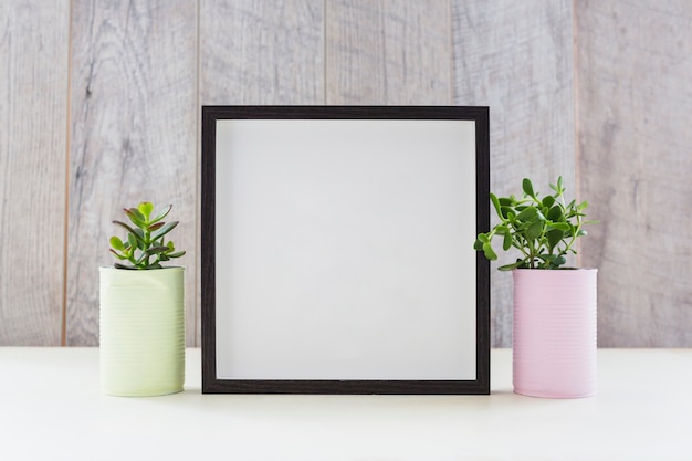 Photo white picture frame between the two plants in the recycle containers