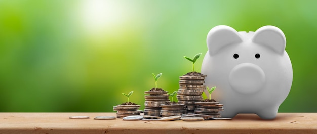 White piggy bank and coin stacks with plant growing on coins on
wooden table