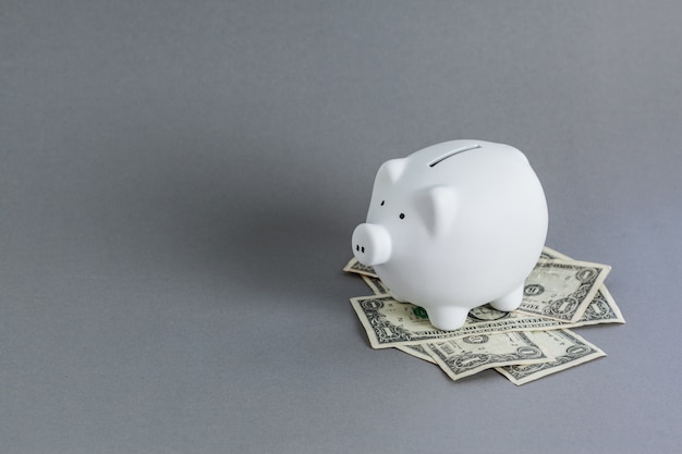 white piggy bank and us dollars