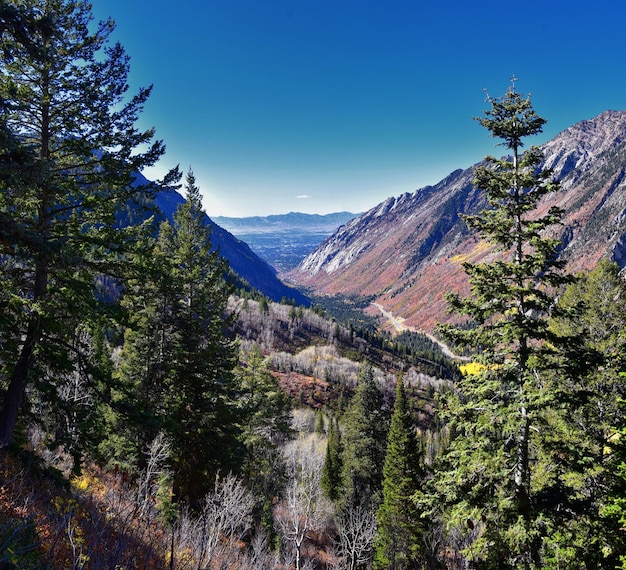 White Pine Lake Trail Salt Lake Valley in Little Cottonwood Canyon Wasatch Rocky Mountain Utah