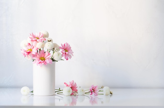 Белые и розовые хризантемы в вазе на белом фоне