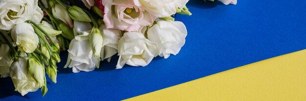 white Pink eustoma flowers on blue and yellow surface in vintage style. Top view. white Lisianthus blossom. banner format for congratulations wedding invitation cards.opy space