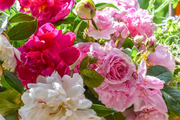 White and pink flowers on a background of emerald greenery in the garden