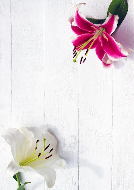 White and pink lilies on white wooden background