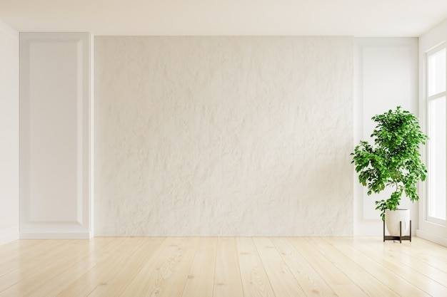 Foto stanza vuota del muro di intonaco bianco con piante su un pavimento, rendering 3d