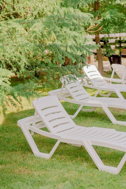 Photo white plastic sunbeds on a green lawn