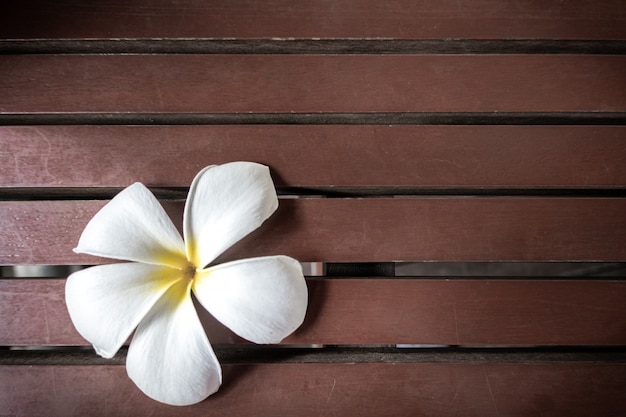 Foto fiori bianchi di plumeria su una tavola di legno