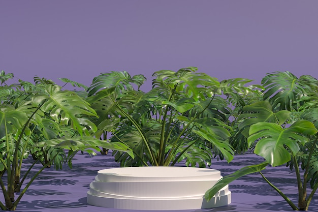 White podium geometric shape on Monstera deliciosa natural garden for display of products