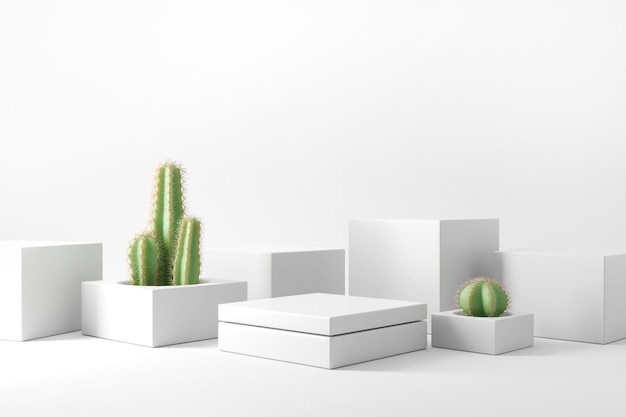 White Podium with cactus