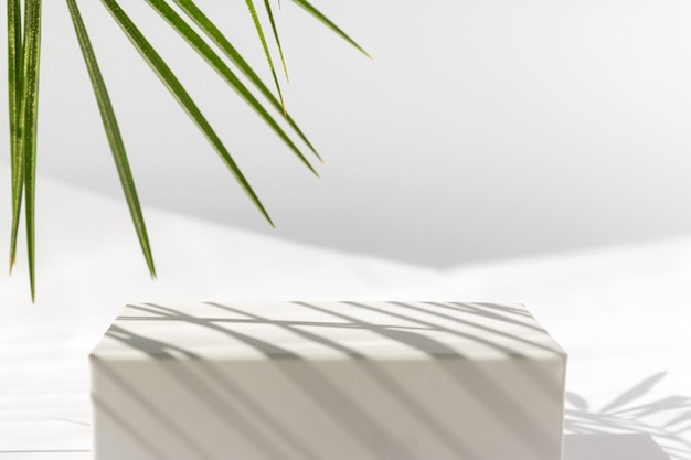 White podium with palm leaves on white surface