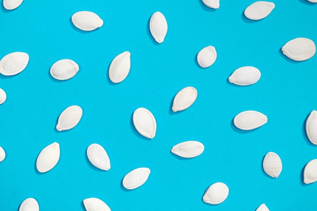 White pumpkin seeds flat lay pattern on blue background