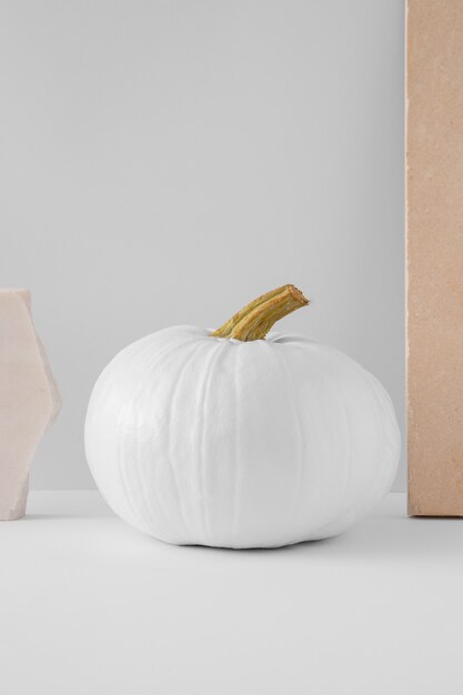 Photo white pumpkin in studio arrangement