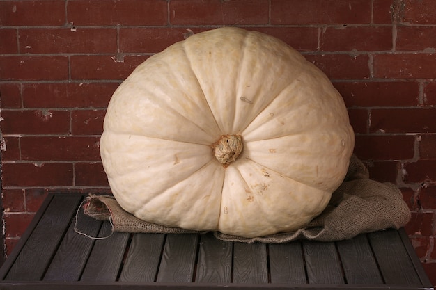 White pumpkin on the table with brick wall background.