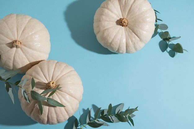 Photo white pumpkins and blue background flat lay