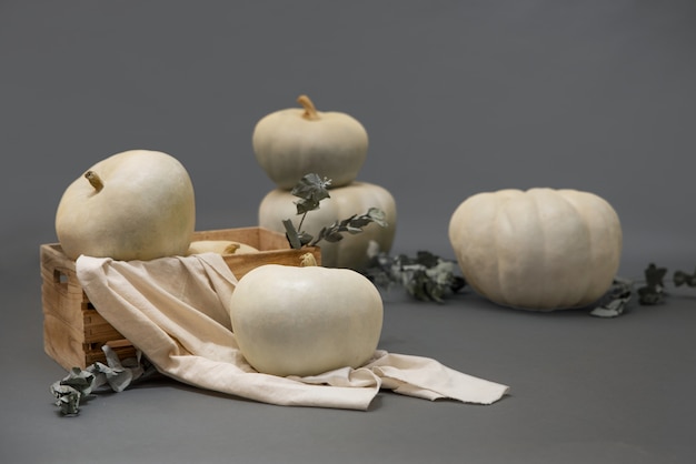 Photo white pumpkins and box arrangement