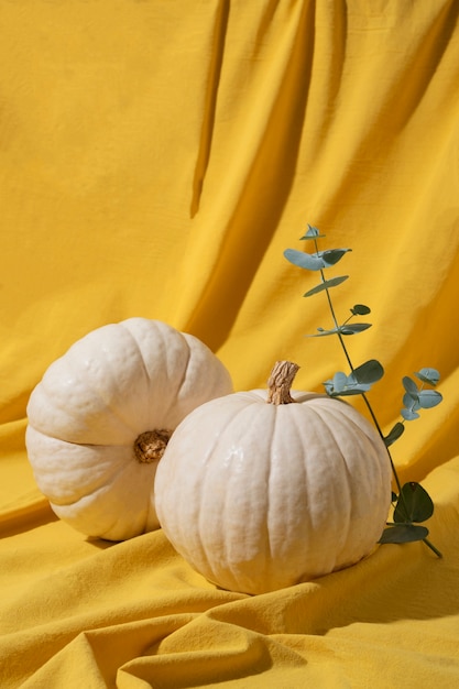 Photo white pumpkins with yellow background