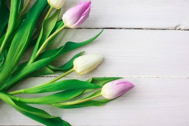 White and purple tulips on a white wooden background