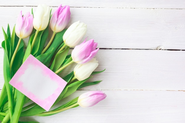 White and purple tulips on a white wooden background. 