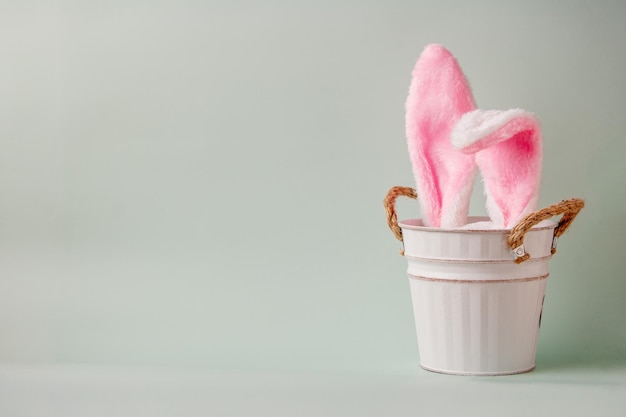 White rabbit in a white tin bucket on a green background copy space