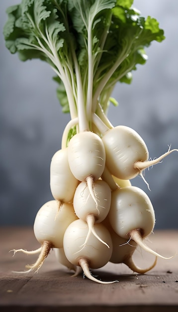 White radish