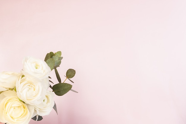 White ranunculus