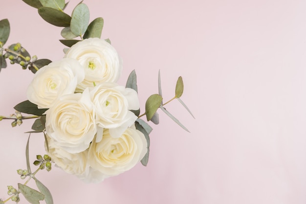 White ranunculus