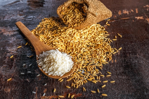 White raw steamed rice and paddy rice in a brown cloth sack on wooden background