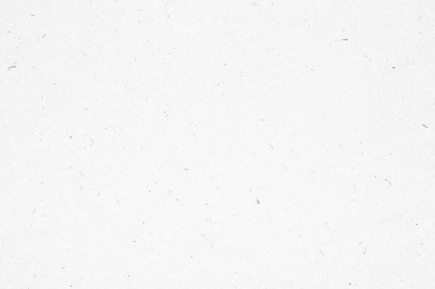 White recycle paper cardboard surface texture background