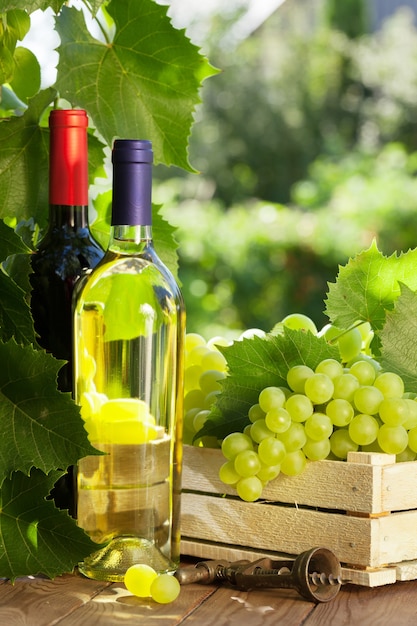 White and red wine bottle, glass, vine and bunch of grapes on garden table