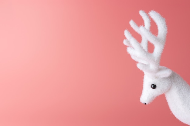 White reindeer