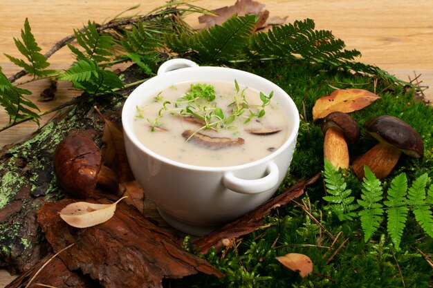 White Restaurant Plate with Cream Boletus Mushroom Soup