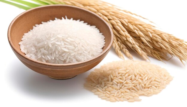 Photo white rice oryza sativa edible starchy cereal grain on the white background