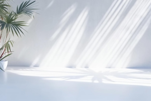 A white room with a plant and a lamp