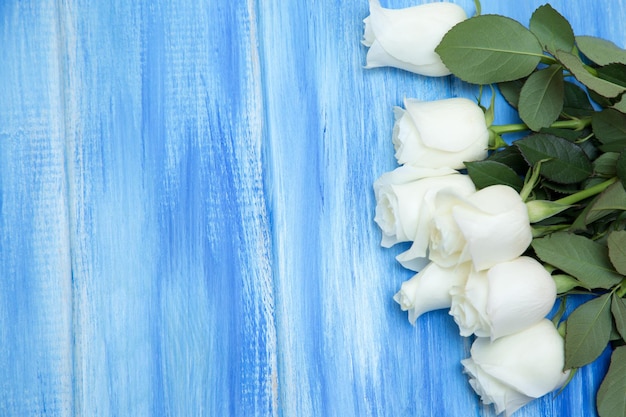 White Rose A bouquet of delicate roses on a wooden blue background Place for text closeup Romantic background for spring holidays