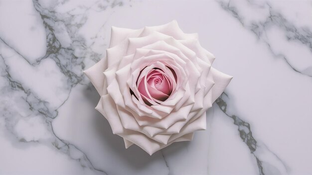 White rose marble texture