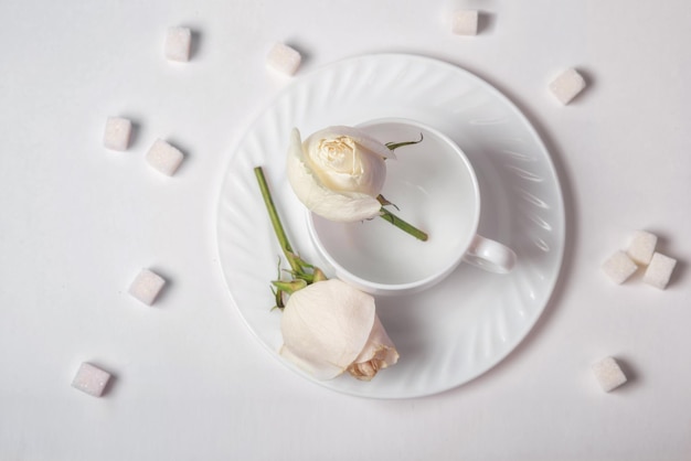 White rose and marshmallows on a white background. Flat lay