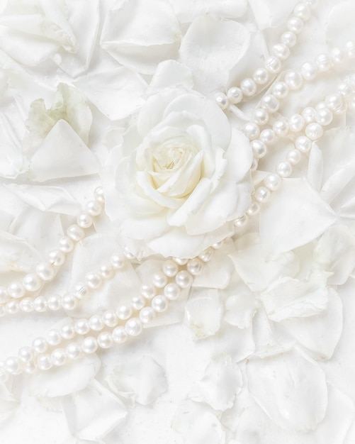 Белая роза и жемчужное ожерелье на фоне лепестков Идеально подходит для поздравительной открытки