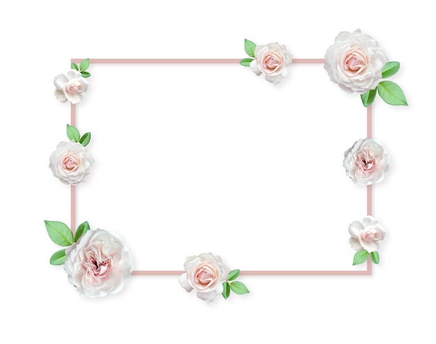 White Roses Arrangement Flower roses frame on pastel background