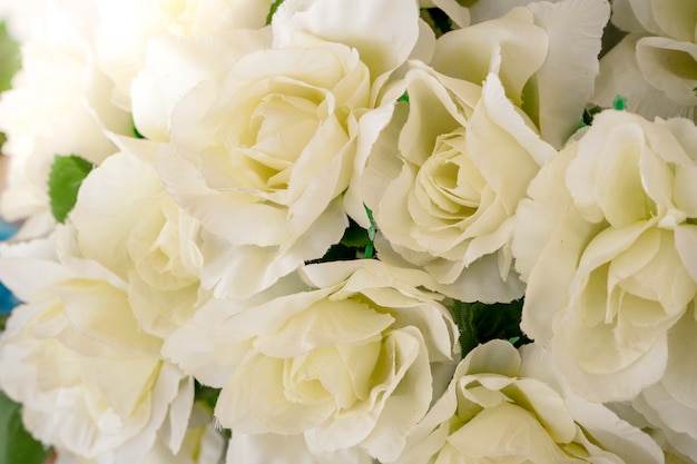  White roses background