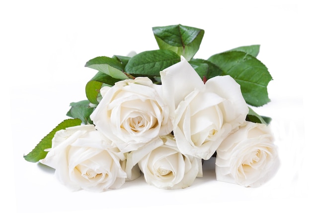 white roses bouquet on white background