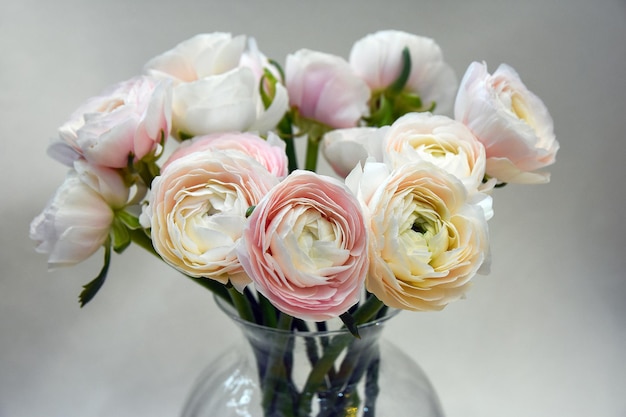 White roses closeup White roses flower arrangement in a glass vase Bouquet of roses in a vase