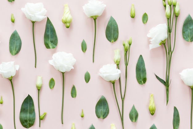 white roses, eucalyptus leaves, branche