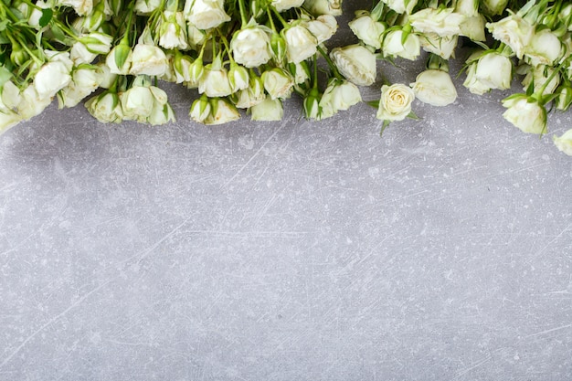 White Roses on a gray Background.Fresh,Little Flowers 