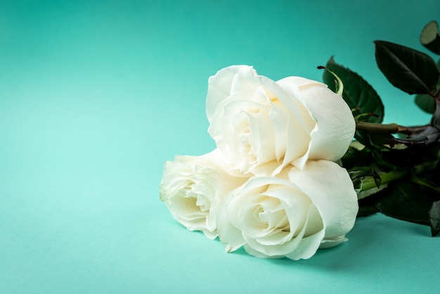 White roses on green table.