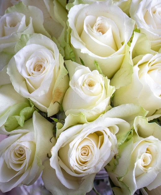 写真 木製の背景に白いバラ