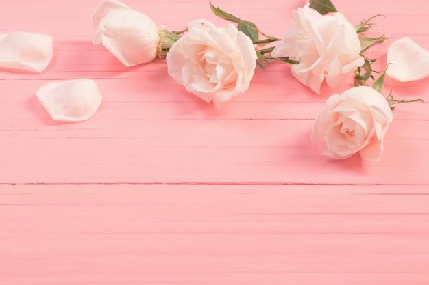 Photo white roses on pink wooden background