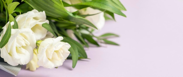 ベリ ペリーの背景に白いバラ